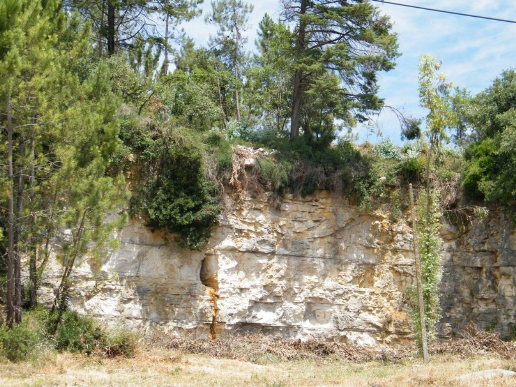 Cantera de Piedra Caliza